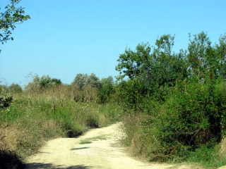 pametnik1